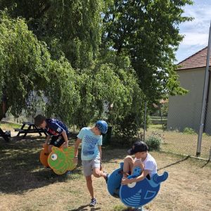 foto 95