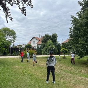 foto 230